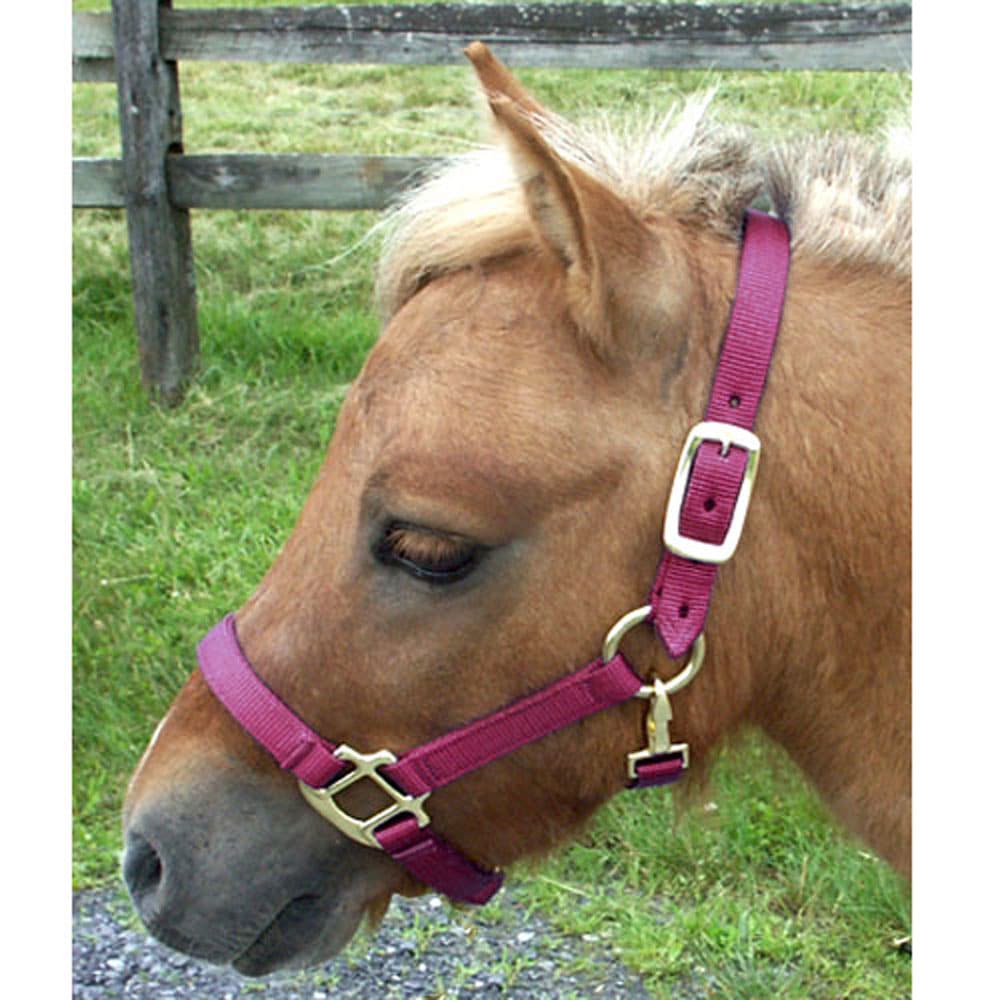 Miniature Horse Nylon Halter Large Mini Large Mini Black The